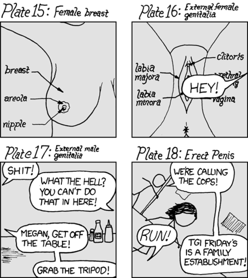 Initially, the reader is shocked by the crude drawings of explicit sexual genitalia. However, the reader is somewhat calmed when it is apparent that they are academic anatomical diagrams. This calm is interrupted, though, when it becomes apparent that the images are being taken in a TGI Fridays restaurant on a dining table and that drawings of an erect penis would have been displayed if someone at the restaurant didn’t catch them, causing them to flee.
The author also notes that he thinks this may be how the anatomical photos on Wikipedia may really be taken, and that you can’t tell they’re in a place such a restaurant due to careful cropping of the photos.