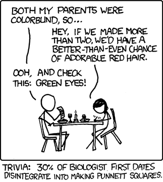 The author learned about or was reminded of Punnett squares, either from a biology student friend or Wikipedia, and decided to make a humorous comic strip on the subject. The format he eventually landed on was of the “improbable human interaction” variety, wherein the humor is derived from two-to-three people doing or saying something unrealistic.
This particular interaction involves two biologists on a first date who find themselves creating Punnett squares in order to determine the genetic traits of any children they would have if they were to mate. This is funny because you would not expect two adults on a first date to discuss having children, especially in such a clinical fashion.
Trivia: 97% of sex can be made more comfortable for geeks to discuss in the context of a science-related joke.