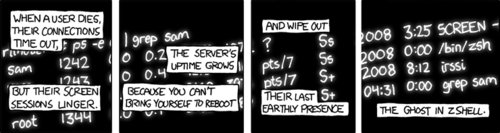 The author is using the lifecycle of various processes in a multi-user unix environment as an allegory for life and death in general. Normally when a user connects to a unix server, any processes they start are tied to the lifecycle of their session. Therefore, if one is disconnected abruptly from the server any processes they started in that session are killed once it times out. Because of this, many users invoke their processes via the screen command. Screen is a popular unix utility that allows most any process to live outside of the normal lifecycle of a user  session. A user may make use of commands to connect and disconnect to any number of screen sessions that are running in the background.
In this comic strip, one particular user named “sam” is running the IRC client irssi using the screen command and his default shell - zsh (z shell). The author picked this particular shell in order to make the humorous pun, “the ghost in z shell”. Which is a reference to the popular hentai movie Ghost in the Shell.